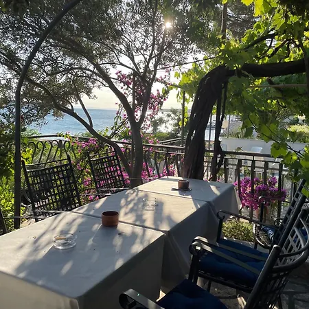 Miranda On The Apartman Barbat na Rabu