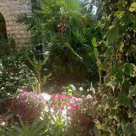Miranda On The * Barbat na Rabu