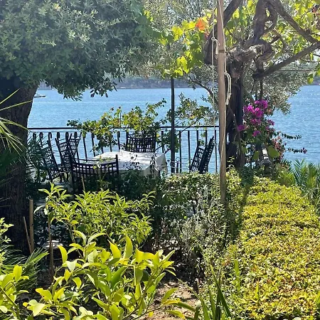 Apartament Miranda On The *